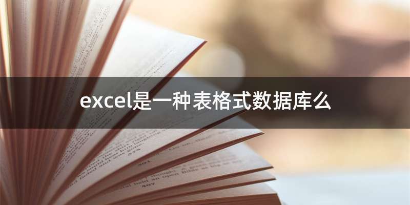 excel是一种表格式数据库么