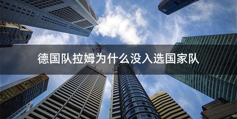 德国队拉姆为什么没入选国家队