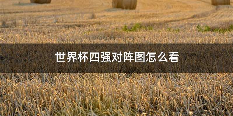 世界杯四强对阵图怎么看