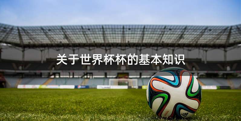 关于世界杯杯的基本知识