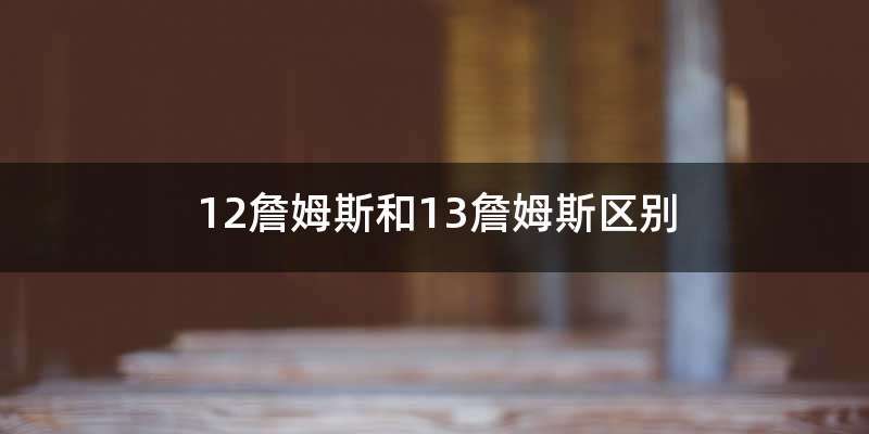 12詹姆斯和13詹姆斯区别