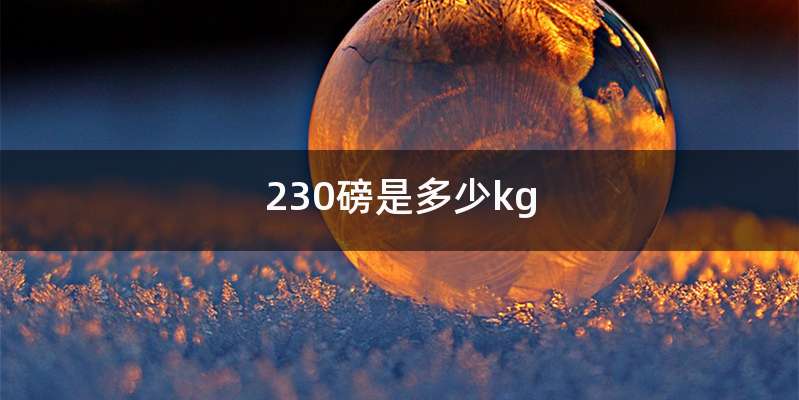 230磅是多少kg