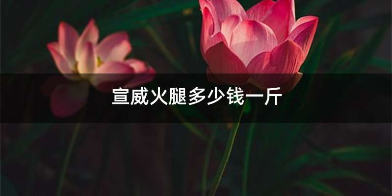 宣威火腿多少钱一斤