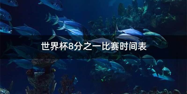 世界杯8分之一比赛时间表