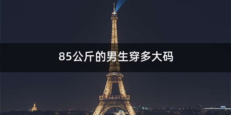 85公斤的男生穿多大码