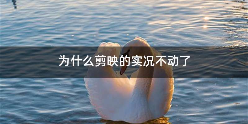 为什么剪映的实况不动了