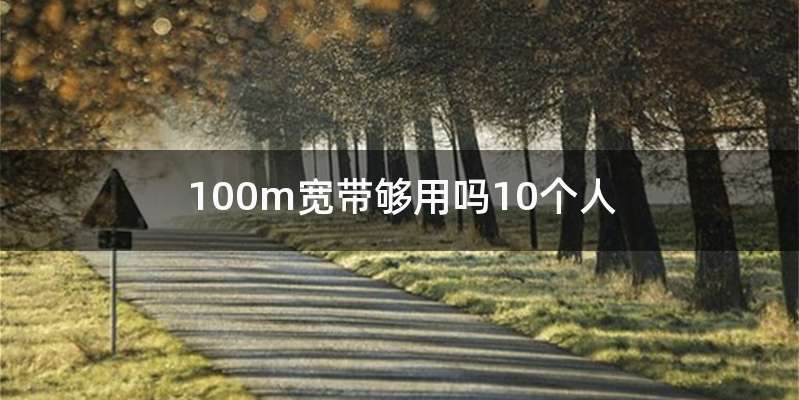 100m宽带够用吗10个人