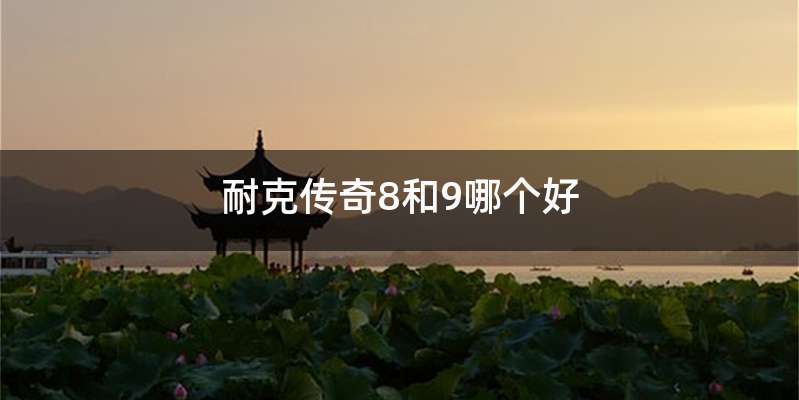 耐克传奇8和9哪个好