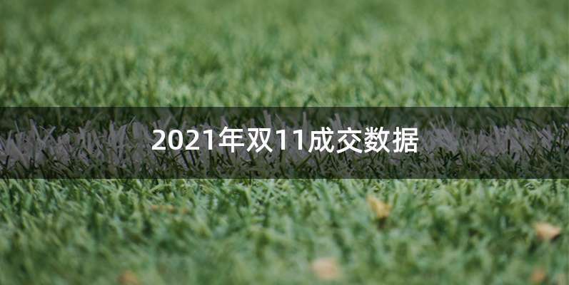 2021年双11成交数据