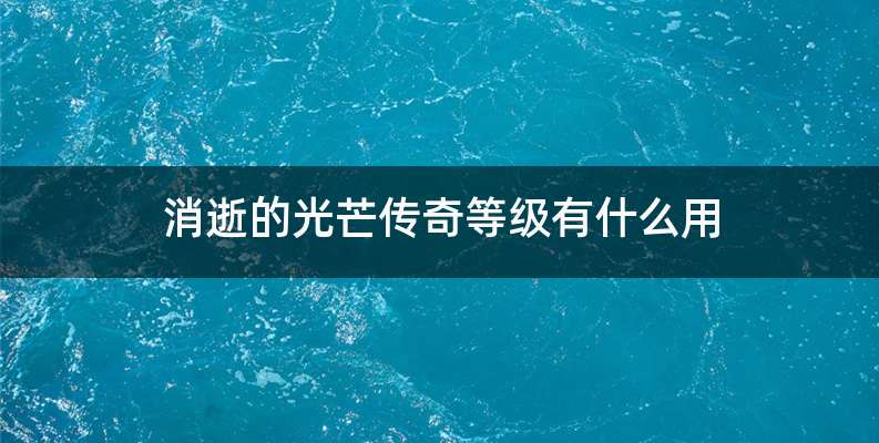 消逝的光芒传奇等级有什么用