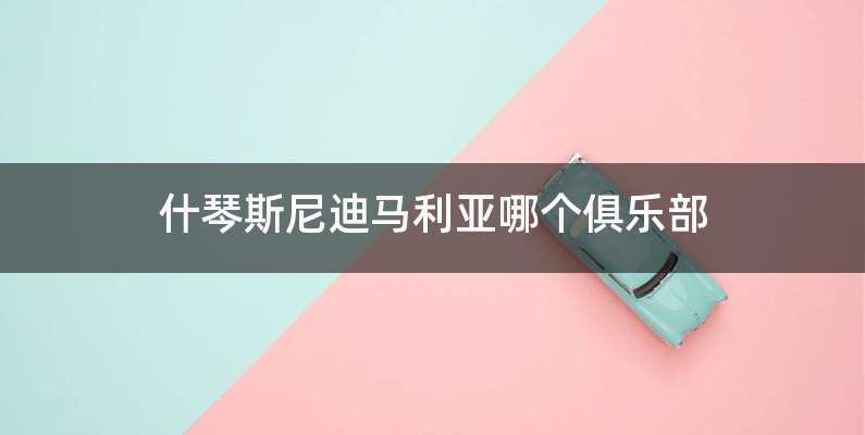 什琴斯尼迪马利亚哪个俱乐部