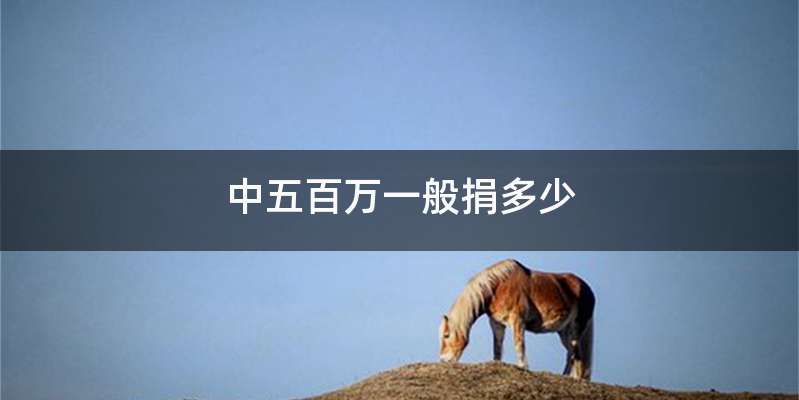 中五百万一般捐多少