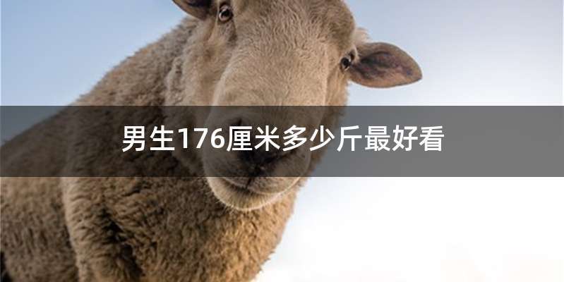 男生176厘米多少斤最好看