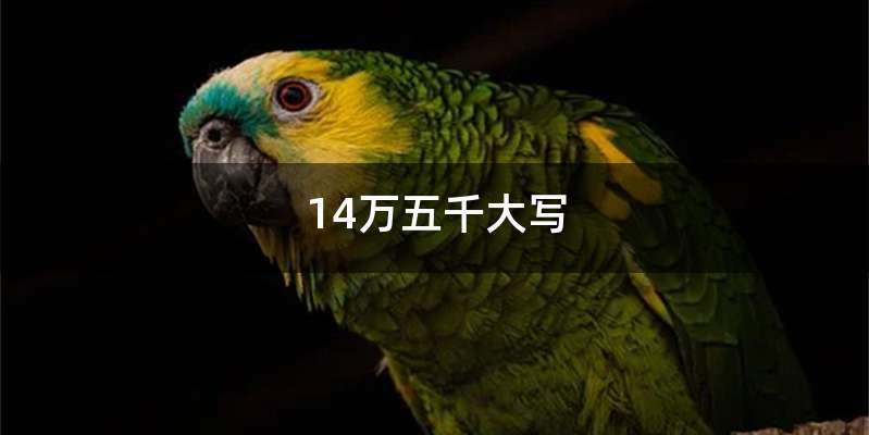 14万五千大写
