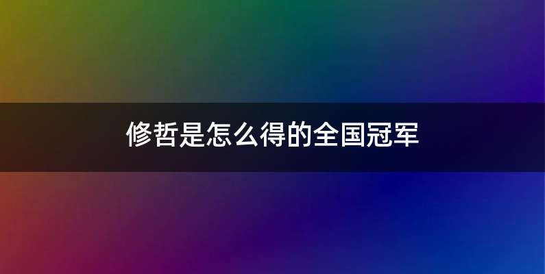 修哲是怎么得的全国冠军