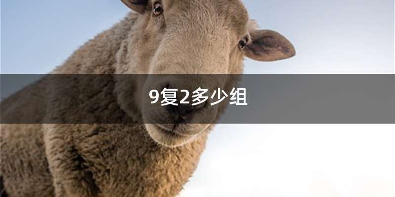 9复2多少组