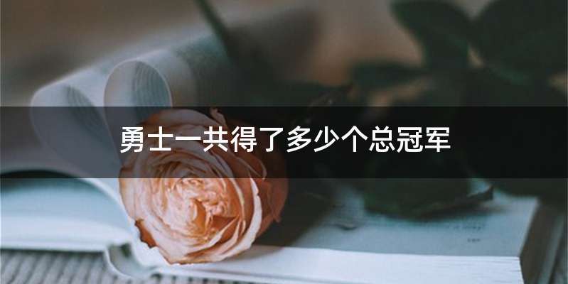 勇士一共得了多少个总冠军