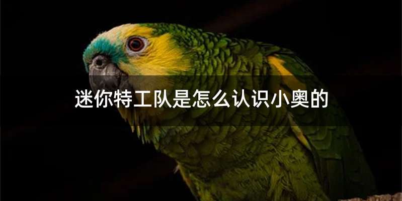 迷你特工队是怎么认识小奥的