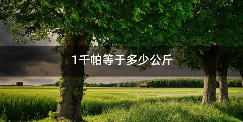 1千帕等于多少公斤