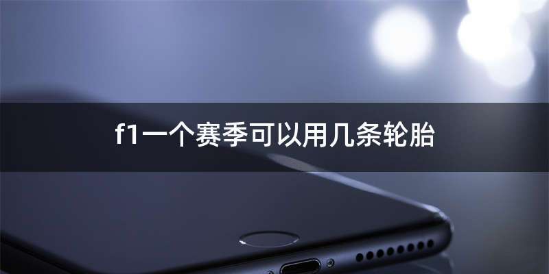 f1一个赛季可以用几条轮胎