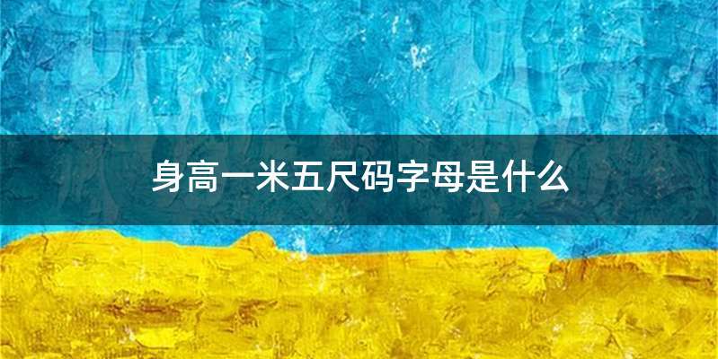 身高一米五尺码字母是什么
