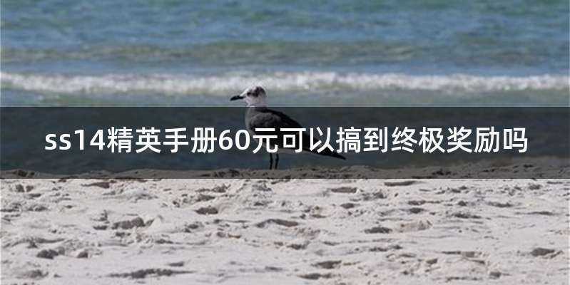 ss14精英手册60元可以搞到终极奖励吗