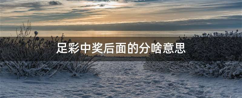 足彩中奖后面的分啥意思