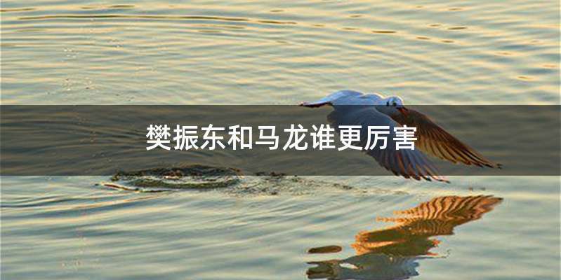 樊振东和马龙谁更厉害