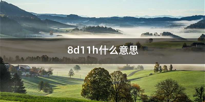 8d11h什么意思