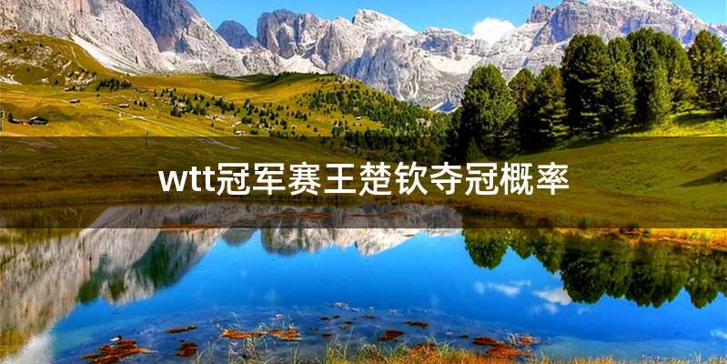 wtt冠军赛王楚钦夺冠概率