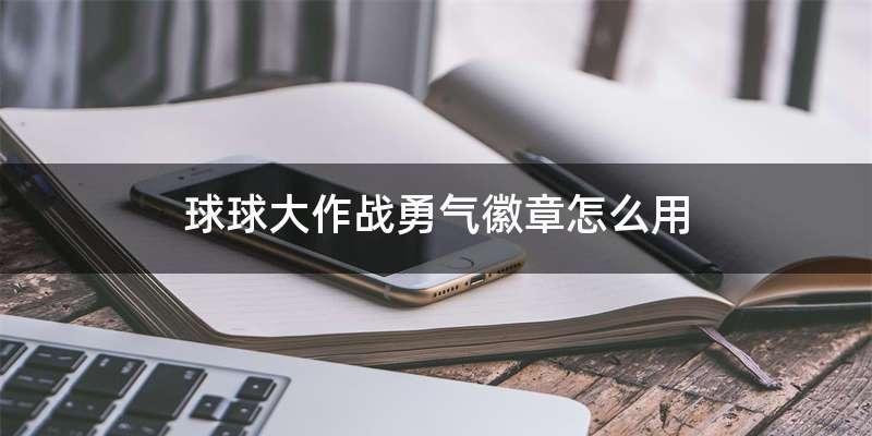 球球大作战勇气徽章怎么用