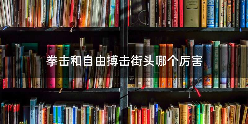 拳击和自由搏击街头哪个厉害