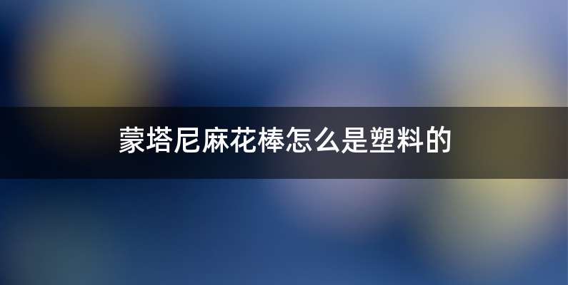 蒙塔尼麻花棒怎么是塑料的