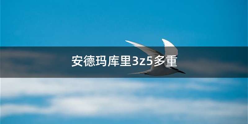 安德玛库里3z5多重