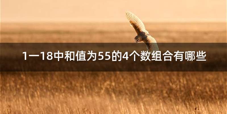 1一18中和值为55的4个数组合有哪些
