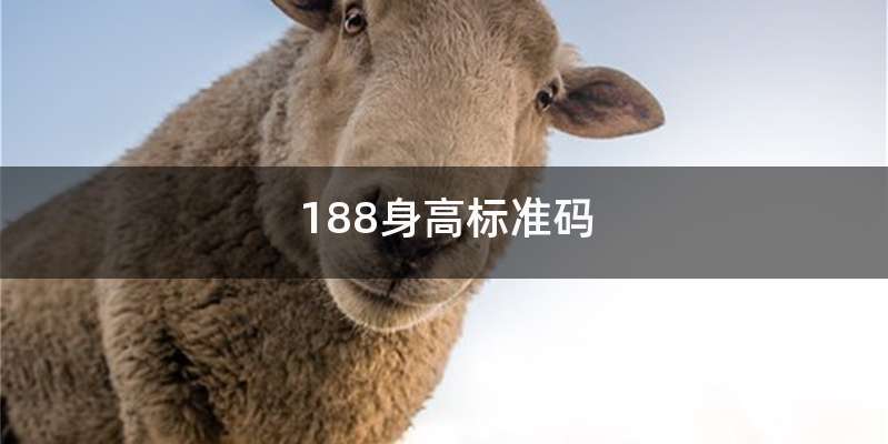188身高标准码