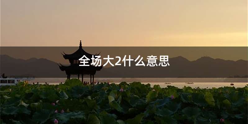 全场大2什么意思