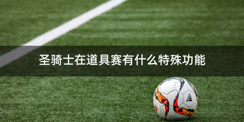 圣骑士在道具赛有什么特殊功能