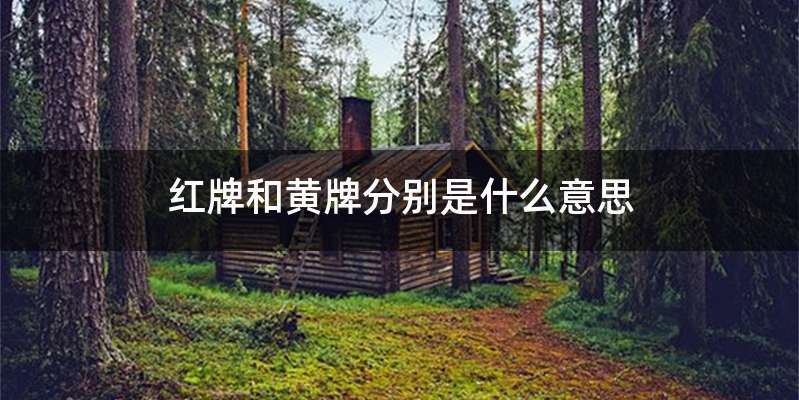 红牌和黄牌分别是什么意思
