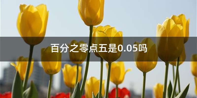 百分之零点五是0.05吗