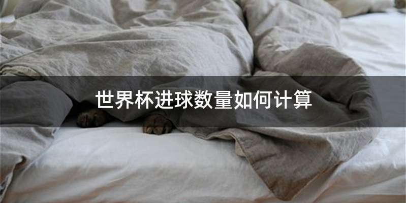 世界杯进球数量如何计算