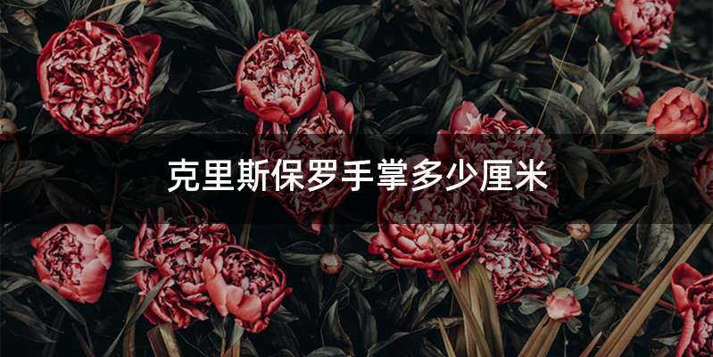 克里斯保罗手掌多少厘米