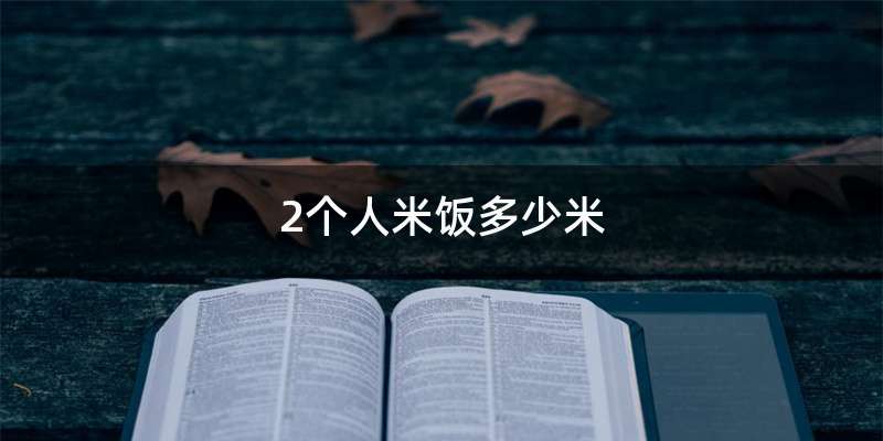 2个人米饭多少米
