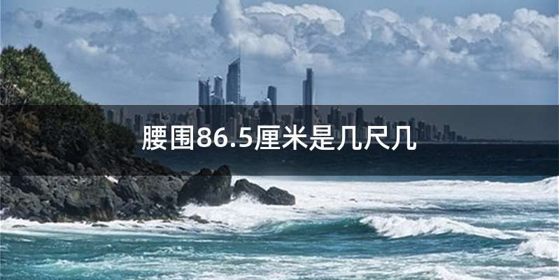 腰围86.5厘米是几尺几