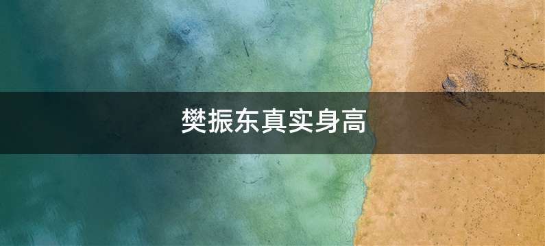 樊振东真实身高