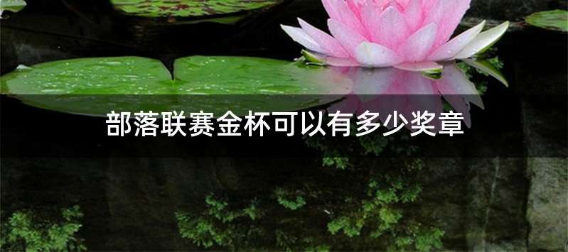 部落联赛金杯可以有多少奖章