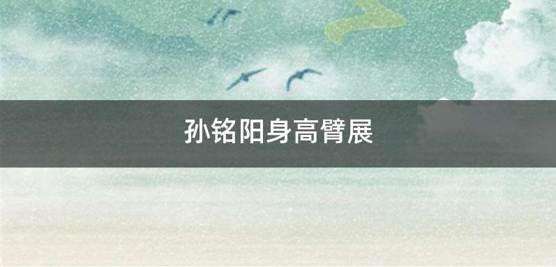 孙铭阳身高臂展