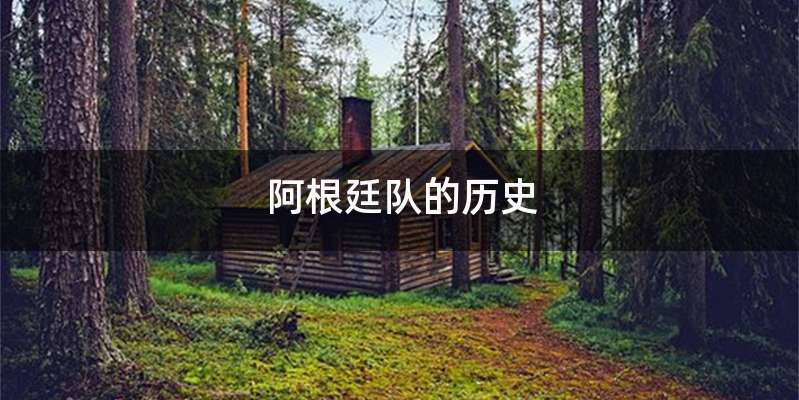 阿根廷队的历史