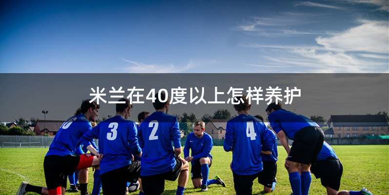 米兰在40度以上怎样养护