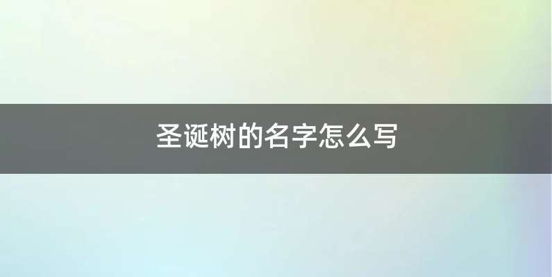 圣诞树的名字怎么写